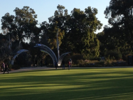 View of Kings Park in the late afternoon.